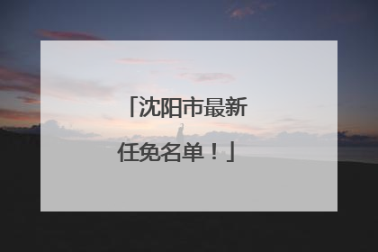 沈阳市最新任免名单！