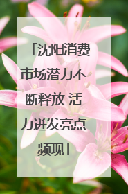 沈阳消费市场潜力不断释放 活力迸发亮点频现