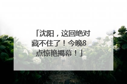 沈阳，这回绝对藏不住了！今晚8点惊艳揭幕！