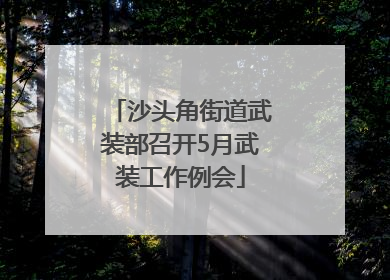 沙头角街道武装部召开5月武装工作例会