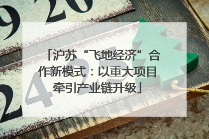 沪苏“飞地经济”合作新模式：以重大项目牵引产业链升级
