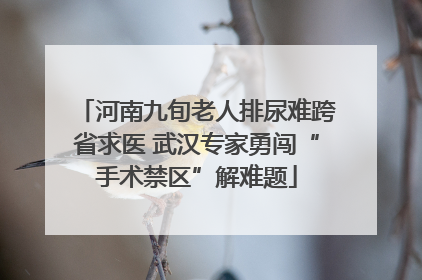 河南九旬老人排尿难跨省求医 武汉专家勇闯“手术禁区”解难题