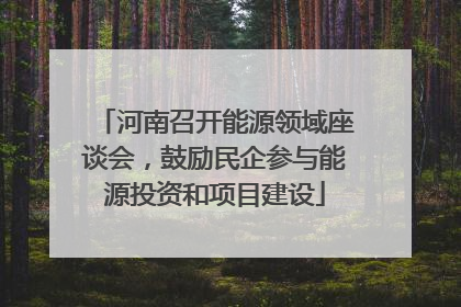河南召开能源领域座谈会，鼓励民企参与能源投资和项目建设