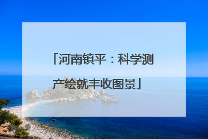 河南镇平：科学测产绘就丰收图景
