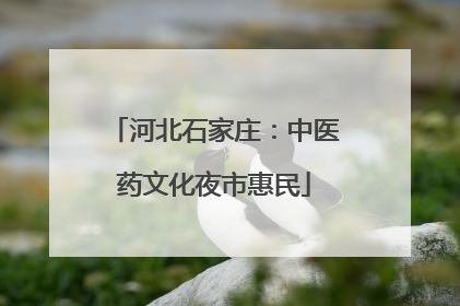河北石家庄：中医药文化夜市惠民