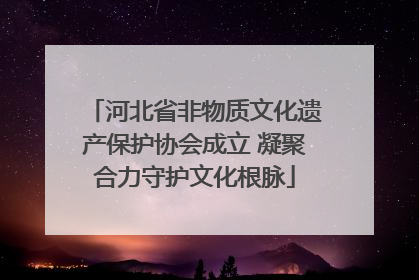 河北省非物质文化遗产保护协会成立 凝聚合力守护文化根脉