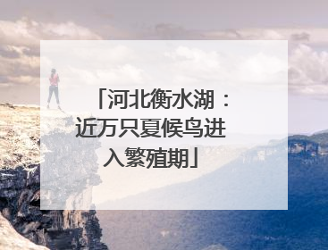 河北衡水湖：近万只夏候鸟进入繁殖期