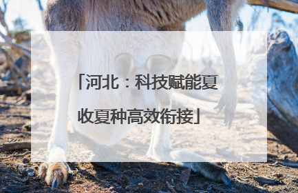 河北：科技赋能夏收夏种高效衔接
