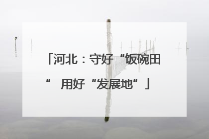 河北：守好“饭碗田” 用好“发展地”
