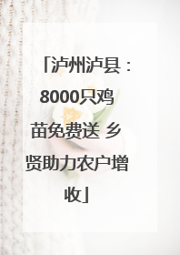 泸州泸县：8000只鸡苗免费送 乡贤助力农户增收