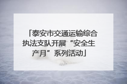 泰安市交通运输综合执法支队开展“安全生产月”系列活动