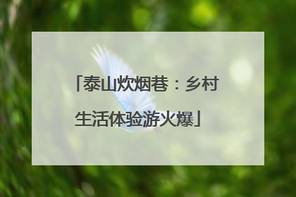 泰山炊烟巷：乡村生活体验游火爆