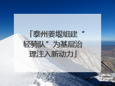 泰州姜堰组建“轻骑队”为基层治理注入新动力