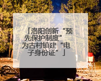 洛阳创新“预先保护制度” 为古村镇建“电子身份证”