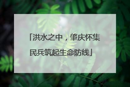 洪水之中，肇庆怀集民兵筑起生命防线