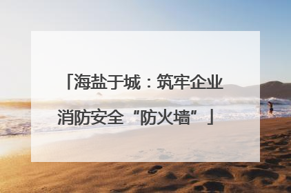 海盐于城：筑牢企业消防安全“防火墙”