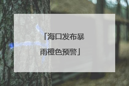 海口发布暴雨橙色预警
