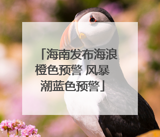 海南发布海浪橙色预警 风暴潮蓝色预警