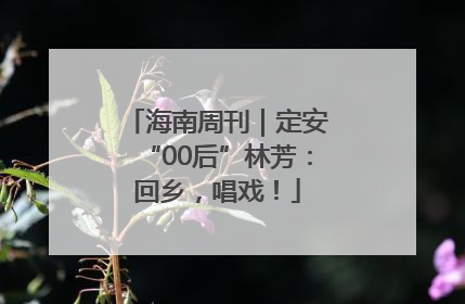 海南周刊｜定安“00后”林芳：回乡，唱戏！