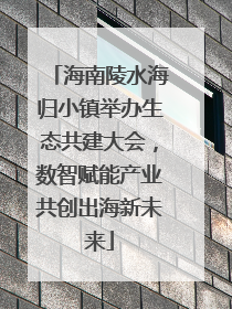 海南陵水海归小镇举办生态共建大会，数智赋能产业共创出海新未来