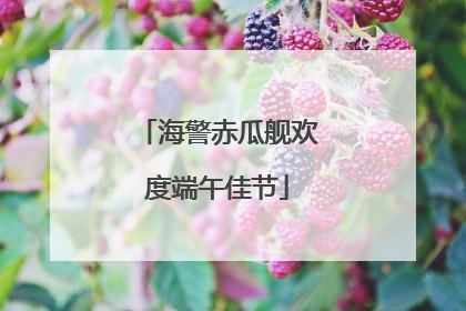 海警赤瓜舰欢度端午佳节