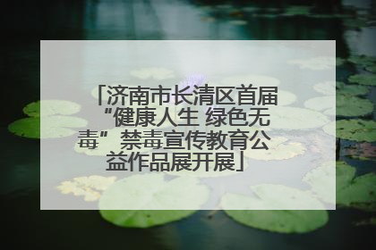 济南市长清区首届“健康人生 绿色无毒”禁毒宣传教育公益作品展开展