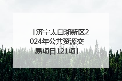 济宁太白湖新区2024年公共资源交易项目121项