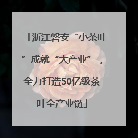 浙江磐安“小茶叶”成就“大产业”，全力打造50亿级茶叶全产业链