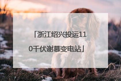 浙江绍兴投运110千伏谢慕变电站
