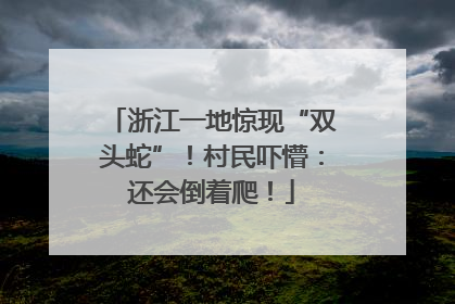 浙江一地惊现“双头蛇”！村民吓懵：还会倒着爬！