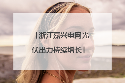 浙江嘉兴电网光伏出力持续增长