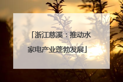 浙江慈溪：推动水家电产业蓬勃发展