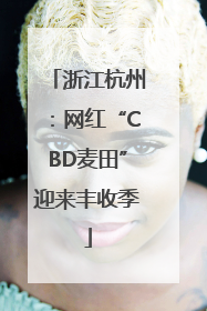 浙江杭州：网红“CBD麦田”迎来丰收季