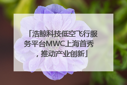 浩鲸科技低空飞行服务平台MWC上海首秀，推动产业创新