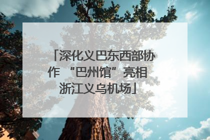 深化义巴东西部协作 “巴州馆”亮相浙江义乌机场