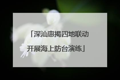 深汕惠揭四地联动开展海上防台演练