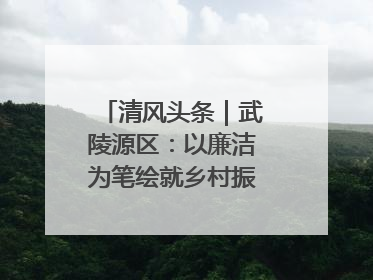 清风头条｜武陵源区：以廉洁为笔绘就乡村振兴新画卷
