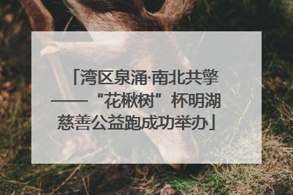 湾区泉涌·南北共擎——“花楸树”杯明湖慈善公益跑成功举办