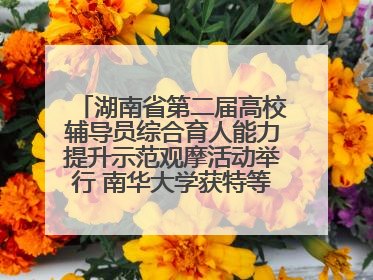 湖南省第二届高校辅导员综合育人能力提升示范观摩活动举行 南华大学获特等奖和一等奖