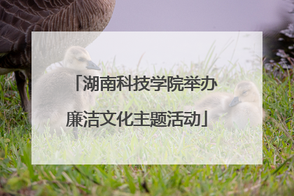 湖南科技学院举办廉洁文化主题活动
