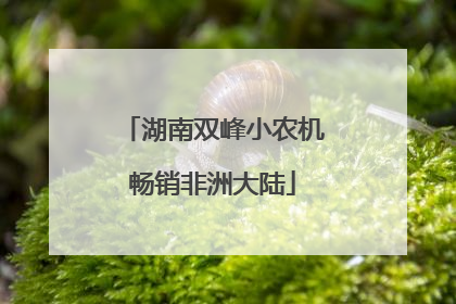 湖南双峰小农机畅销非洲大陆