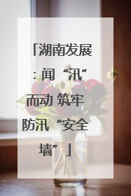 湖南发展：闻“汛”而动 筑牢防汛“安全墙”