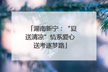 湖南新宁：“夏送清凉”情系爱心送考逐梦路