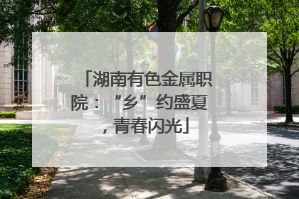 湖南有色金属职院：“乡”约盛夏，青春闪光