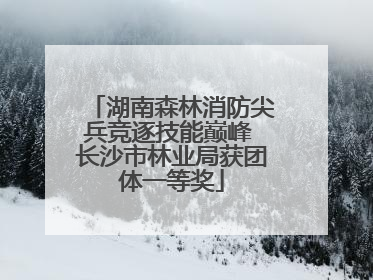 湖南森林消防尖兵竞逐技能巅峰 长沙市林业局获团体一等奖