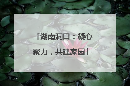 湖南洞口：凝心聚力，共建家园