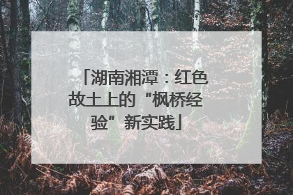 湖南湘潭：红色故土上的“枫桥经验”新实践