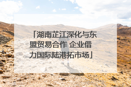 湖南芷江深化与东盟贸易合作 企业借力国际陆港拓市场
