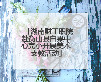 湖南财工职院赴衡山县白果中心完小开展美术支教活动