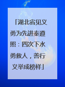 湖北省见义勇为先进秦遵照：四次下水勇救人，善行义举成榜样